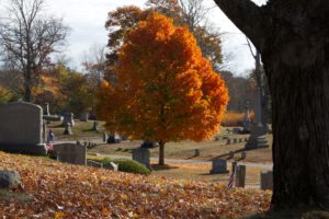 Woodlawn Cemetery in fall