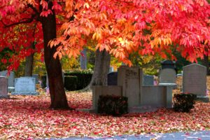 Woodlawn Cemetery in fall