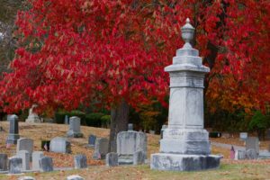 Woodlawn Cemetery in fall