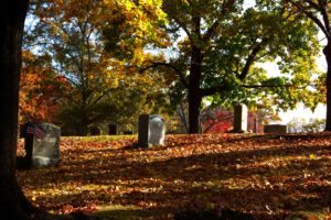 Woodlawn Cemetery in fall