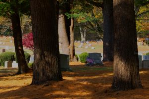 North Purchase Cemetery in fall